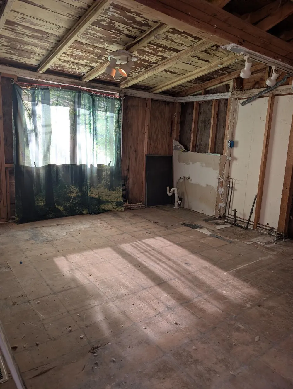 216 Portage Lake Road Waterloo Township, MI 49259