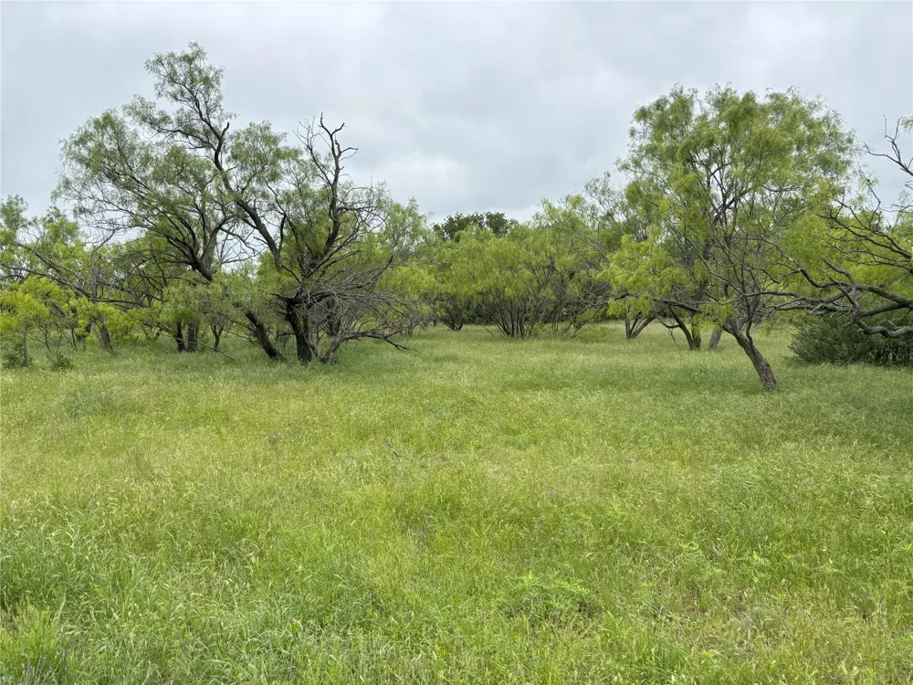 Sunset Lane Jacksboro, TX 76458