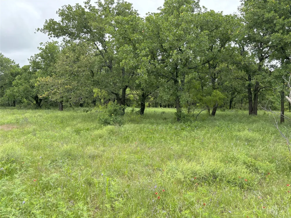 Sunset Lane Jacksboro, TX 76458