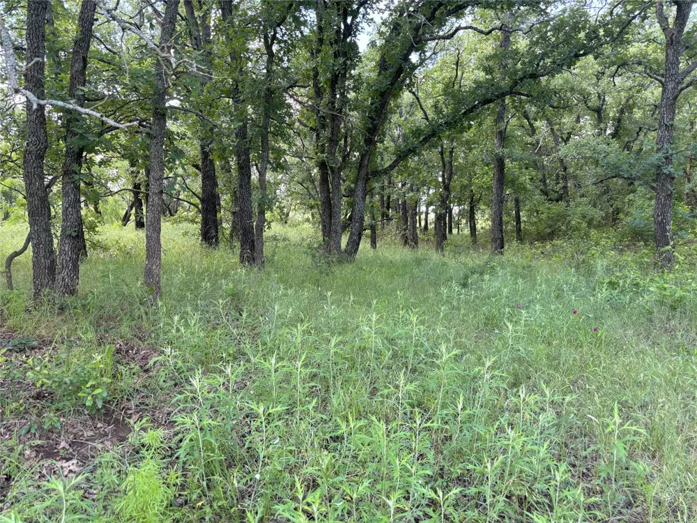 Sunset Lane Jacksboro, TX 76458