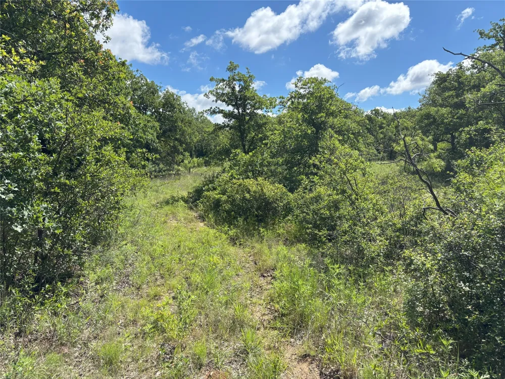 Sunset Lane Jacksboro, TX 76458