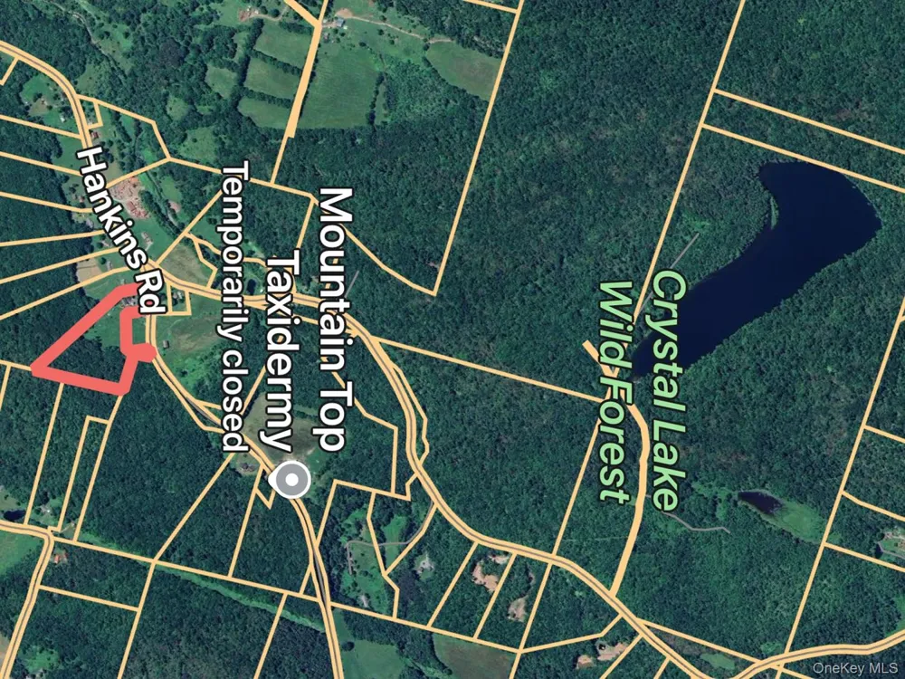 292 County Road 93 Roscoe, NY 12776
