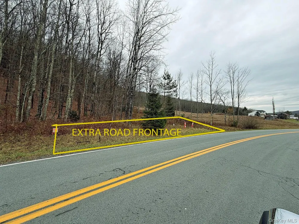 292 County Road 93 Roscoe, NY 12776