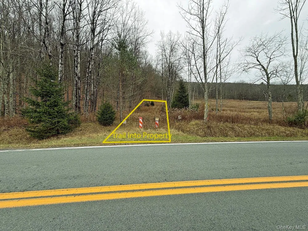 292 County Road 93 Roscoe, NY 12776