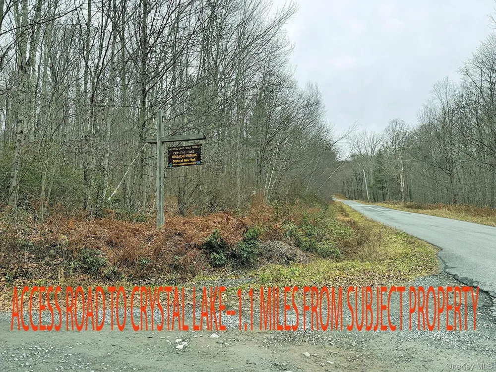292 County Road 93 Roscoe, NY 12776