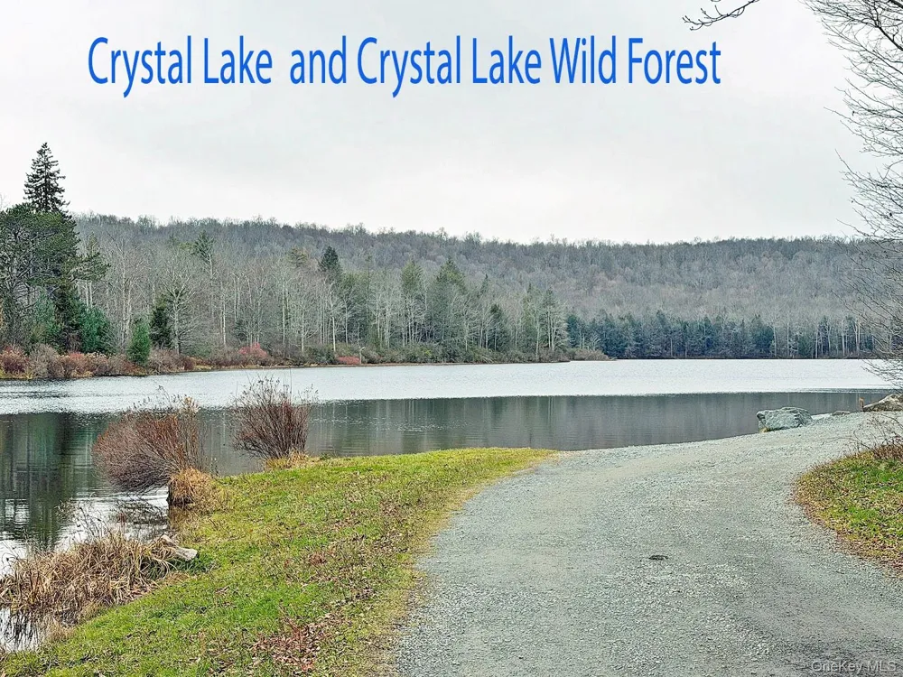 292 County Road 93 Roscoe, NY 12776