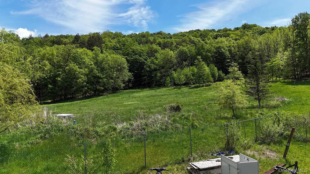 292 County Road 93 Roscoe, NY 12776