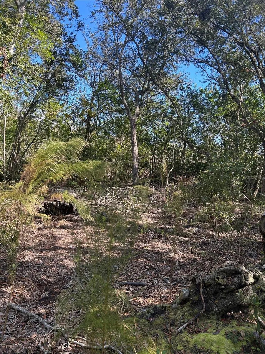 7740 E SMOKE TRAIL Inverness, FL 34453
