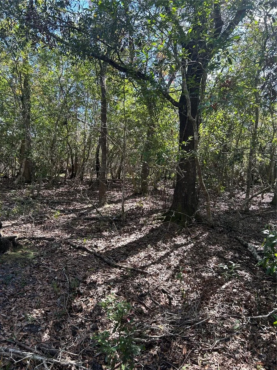 7740 E SMOKE TRAIL Inverness, FL 34453