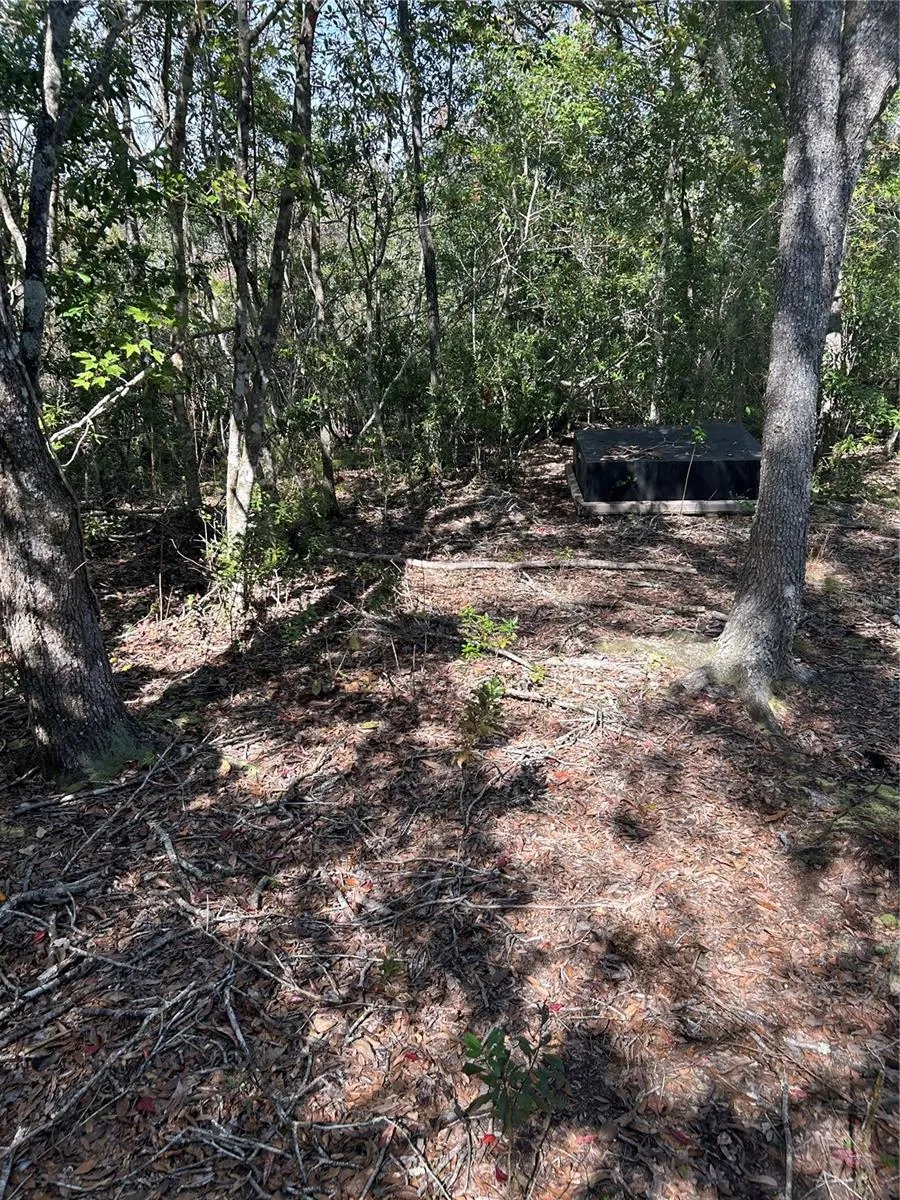 7740 E SMOKE TRAIL Inverness, FL 34453