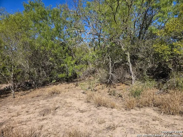 00 CR 123 Pawnee, TX 78145