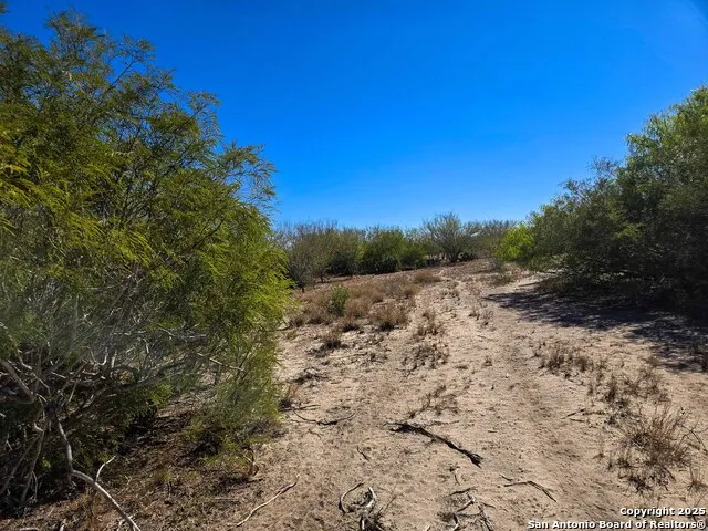 00 CR 123 Pawnee, TX 78145