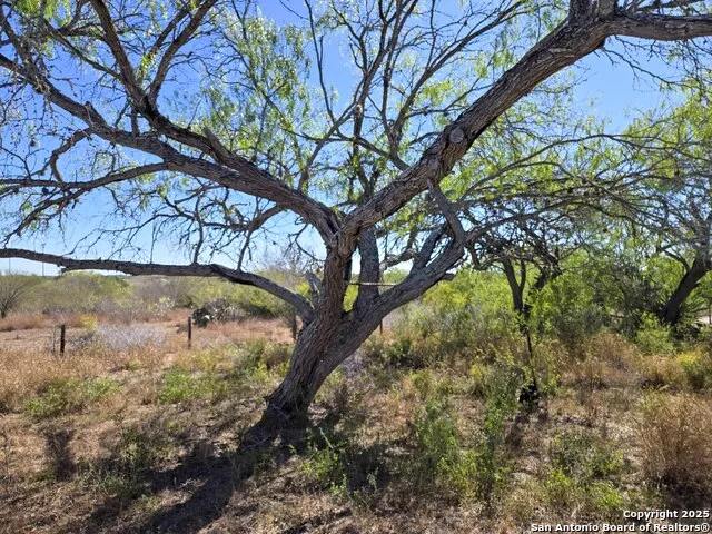00 CR 123 Pawnee, TX 78145