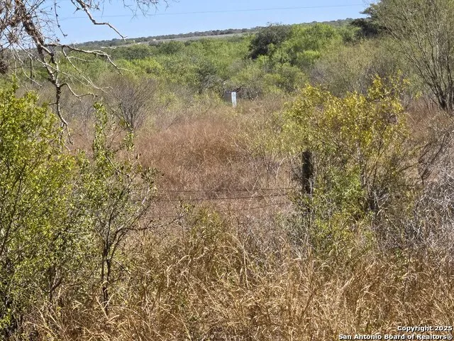00 CR 123 Pawnee, TX 78145