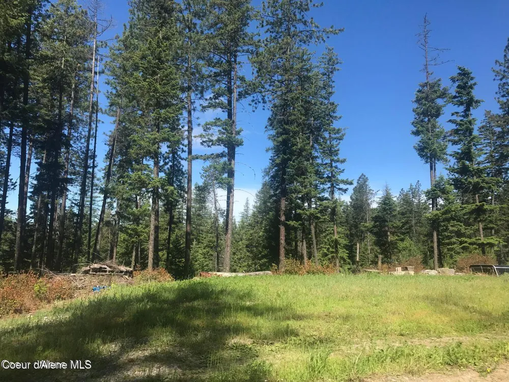 41 Quiet Road Athol, ID 83801