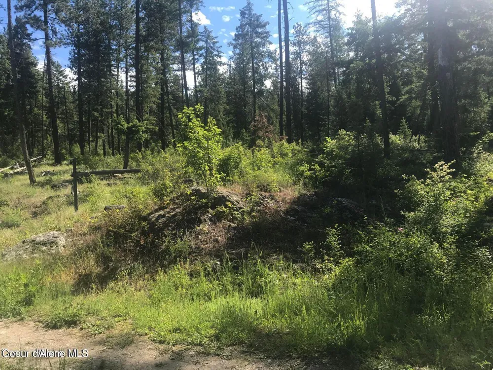 41 Quiet Road Athol, ID 83801