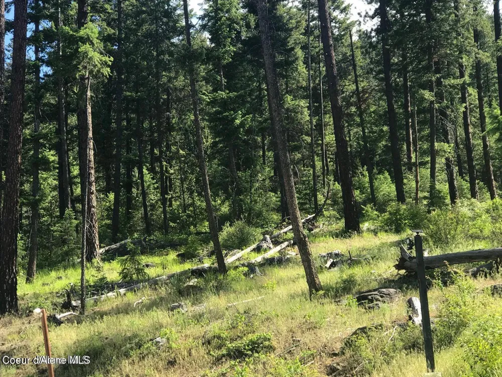 41 Quiet Road Athol, ID 83801