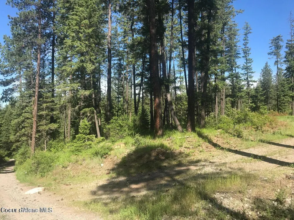 41 Quiet Road Athol, ID 83801