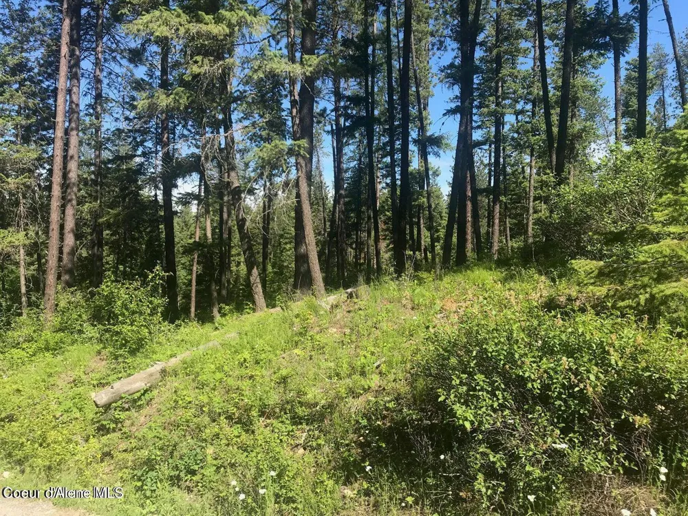 41 Quiet Road Athol, ID 83801