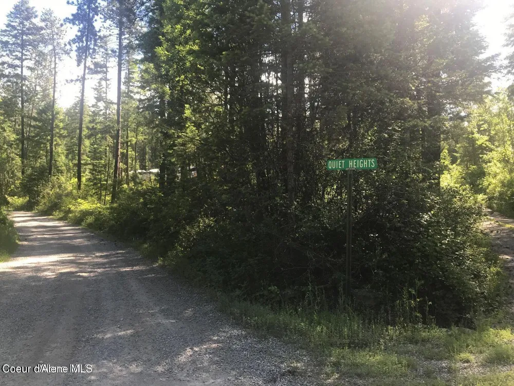 41 Quiet Road Athol, ID 83801