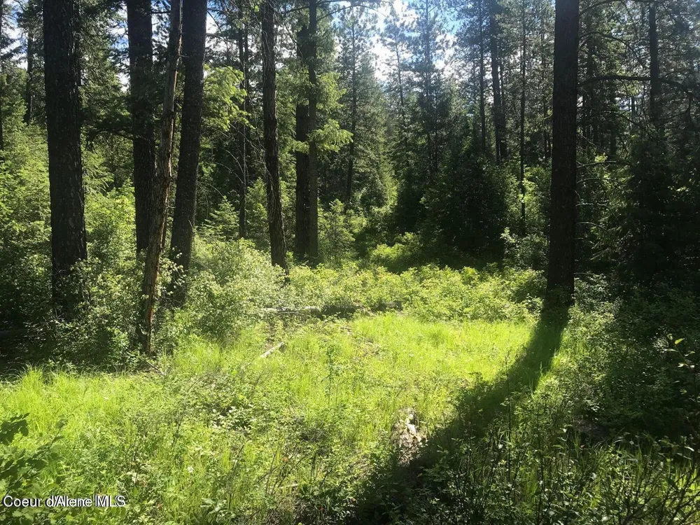 41 Quiet Road Athol, ID 83801