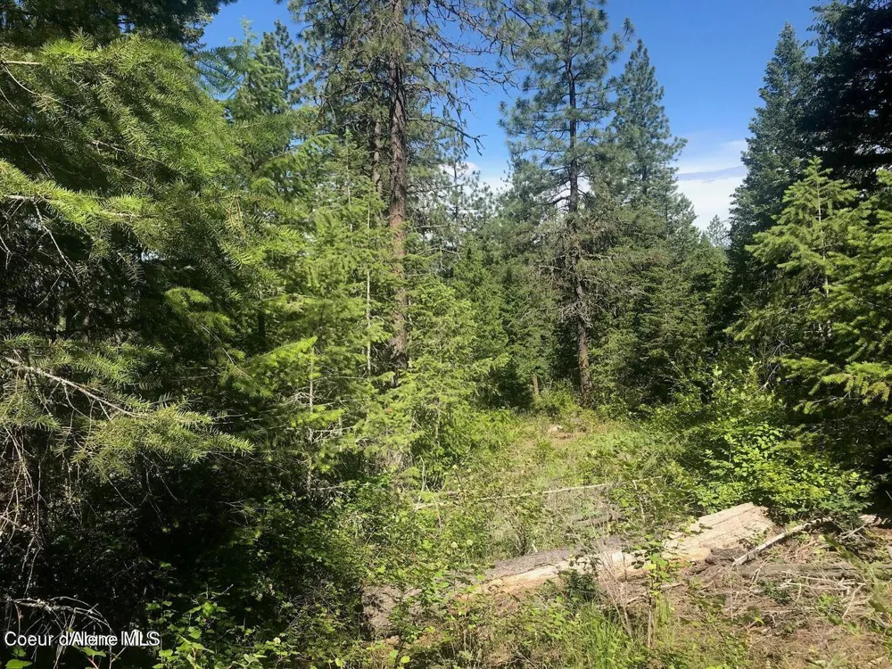 41 Quiet Road Athol, ID 83801