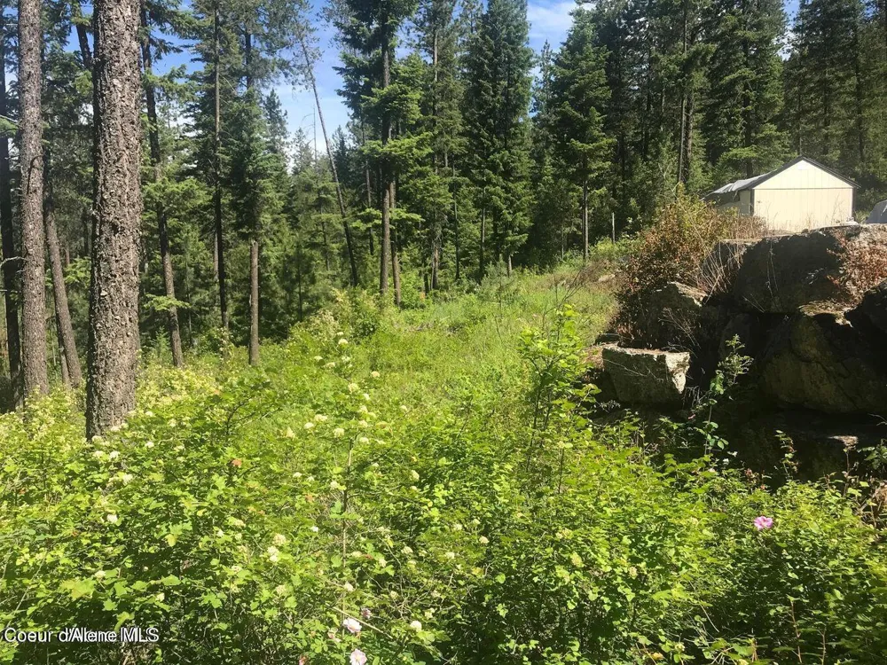 41 Quiet Road Athol, ID 83801