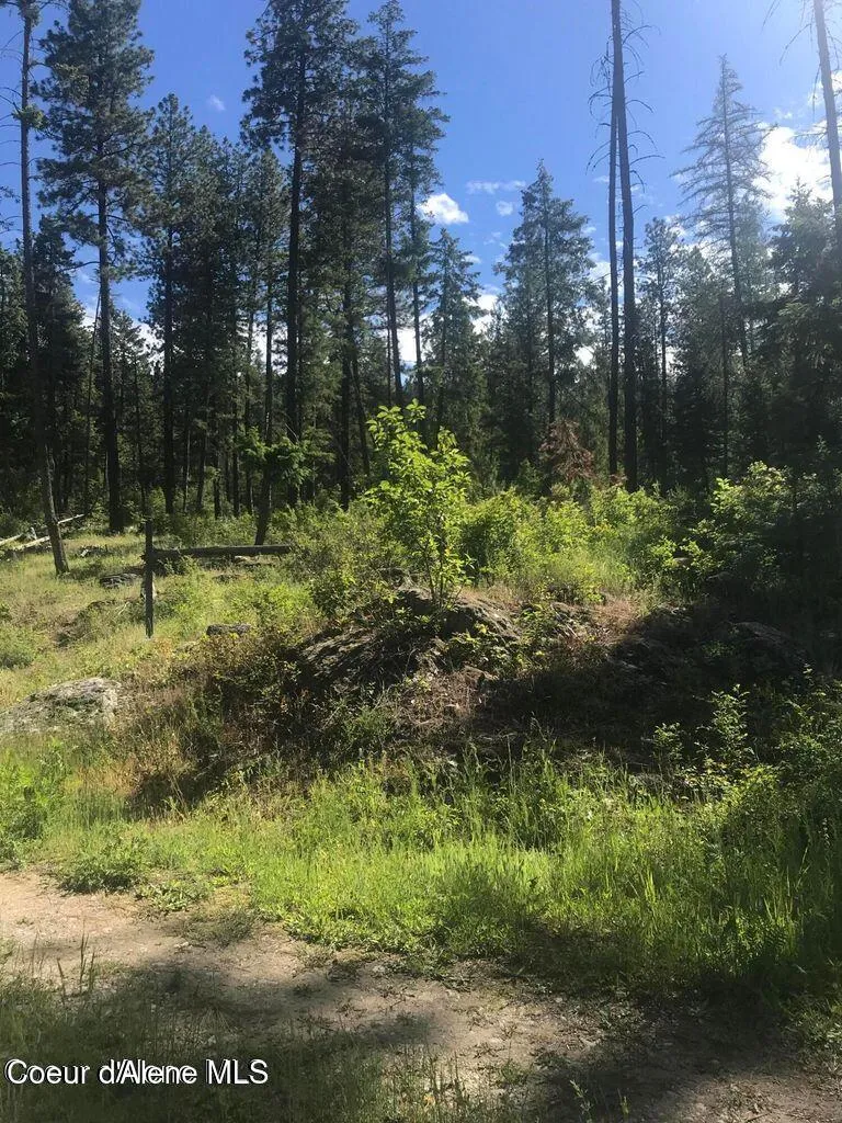 41 Quiet Road Athol, ID 83801