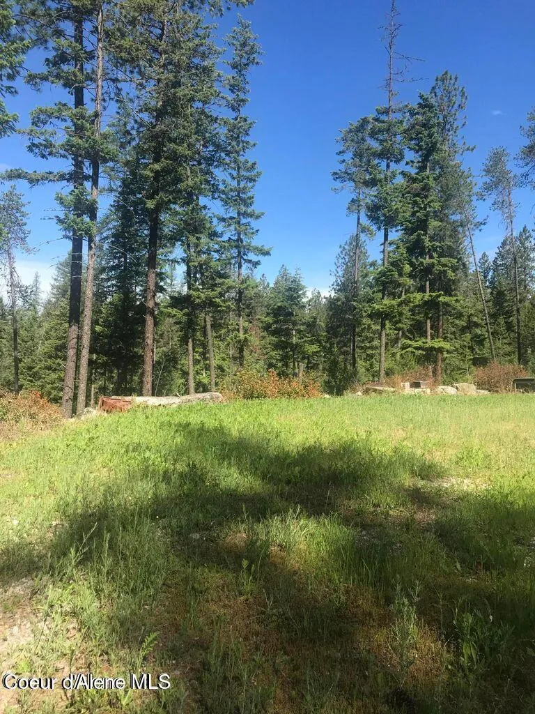 41 Quiet Road Athol, ID 83801
