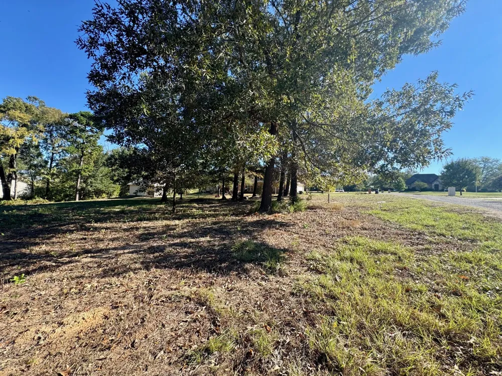 County Road 1216 Pittsburg, TX 75686