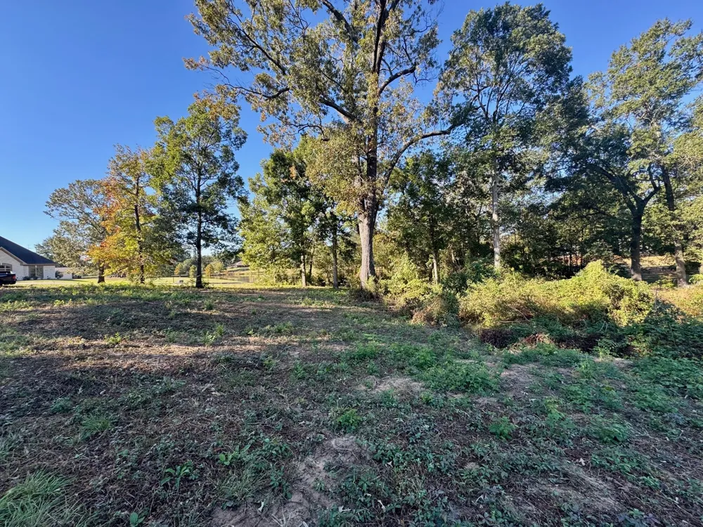County Road 1216 Pittsburg, TX 75686