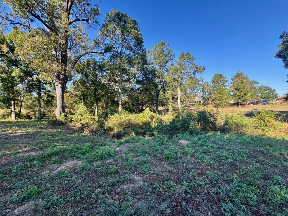 County Road 1216 Pittsburg, TX 75686