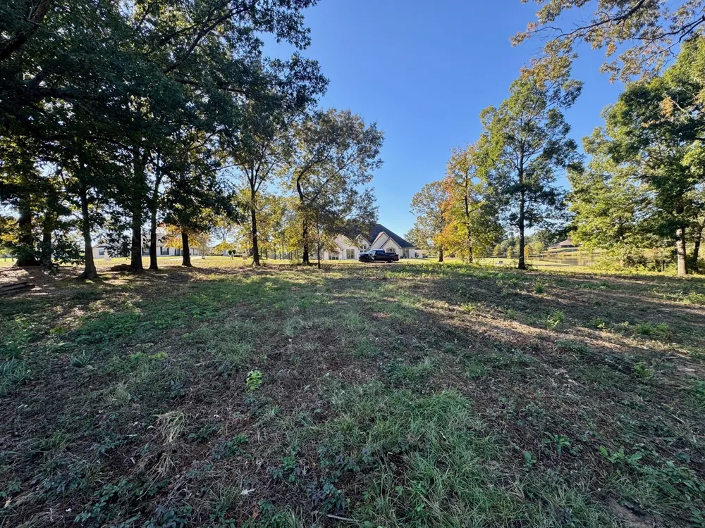 County Road 1216 Pittsburg, TX 75686