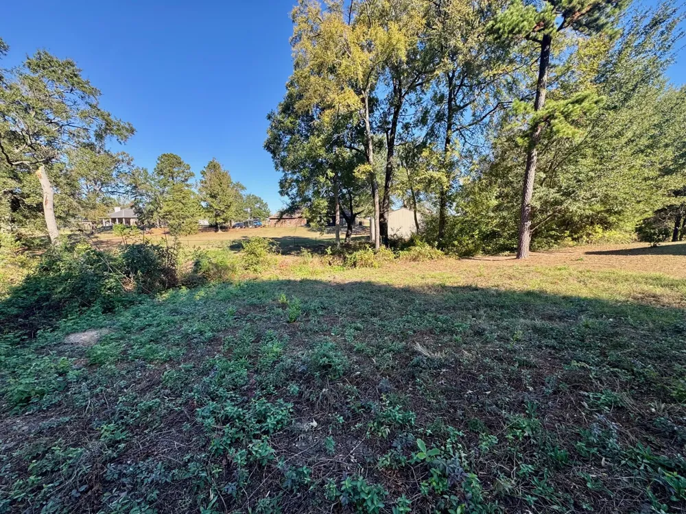 County Road 1216 Pittsburg, TX 75686