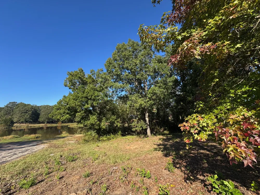 County Road 1216 Pittsburg, TX 75686