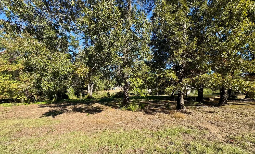 County Road 1216 Pittsburg, TX 75686