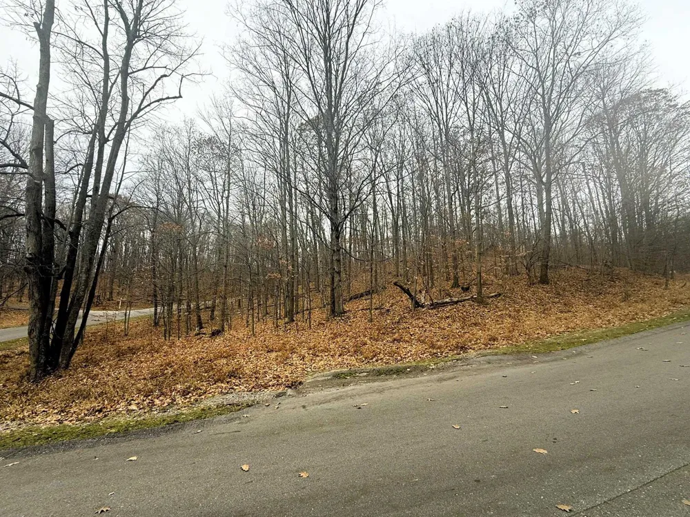 Valley Run Custer Township, MI 49615