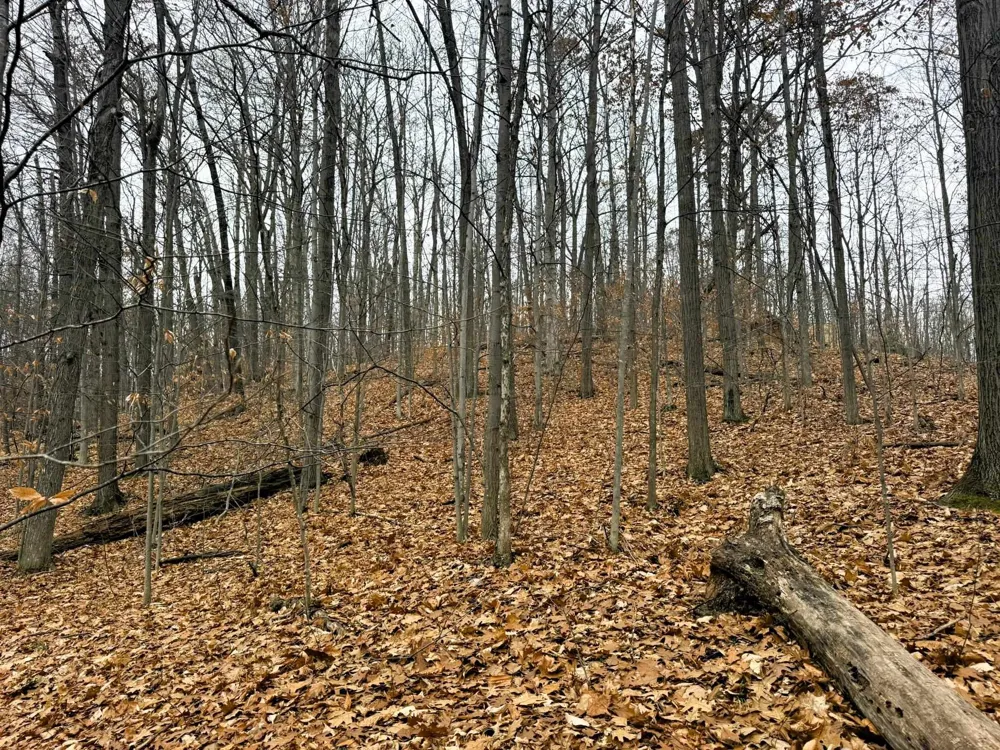 Valley Run Custer Township, MI 49615