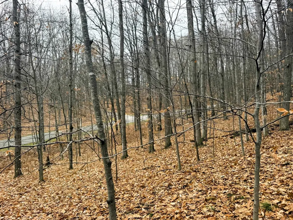 Valley Run Custer Township, MI 49615