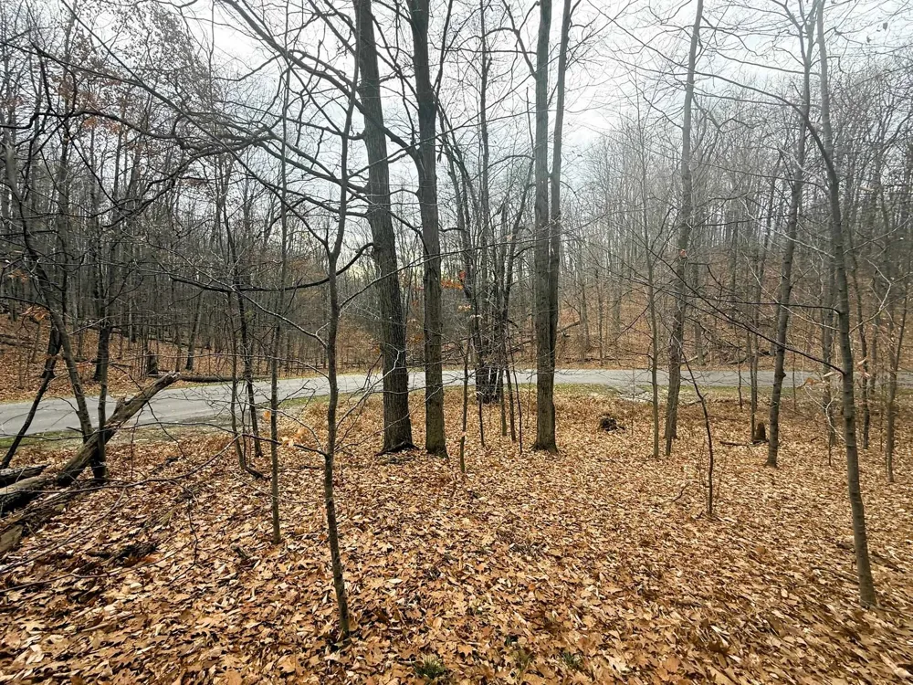 Valley Run Custer Township, MI 49615