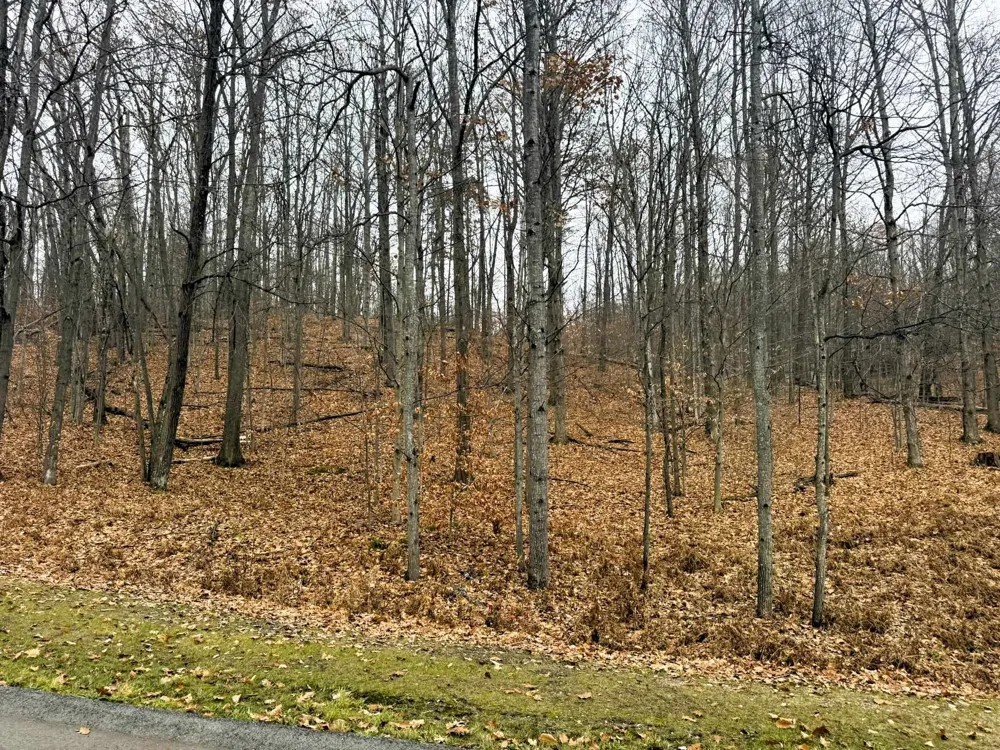 Valley Run Custer Township, MI 49615