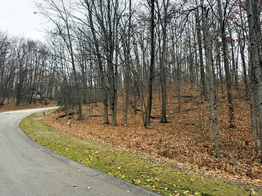 Valley Run Custer Township, MI 49615