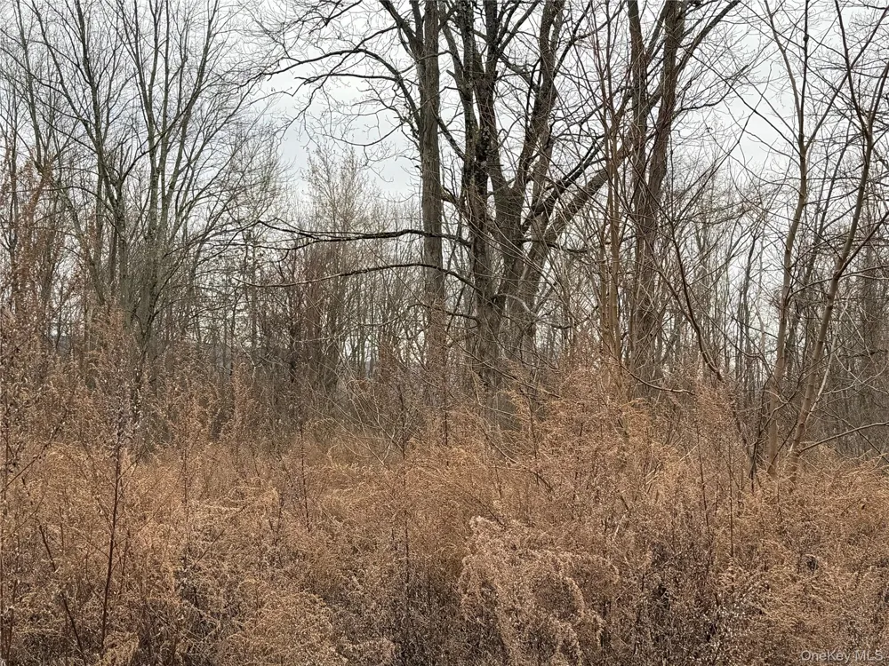 16 Knights Lane Warwick, NY 10990