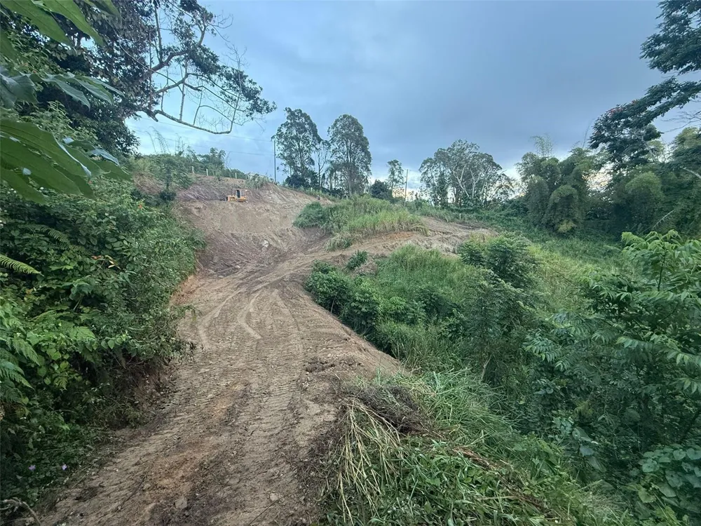 ALTURAS DE VALENCIA - VALENCIANO ARRIBA WARD #LOT 21 Juncos, PR 00777