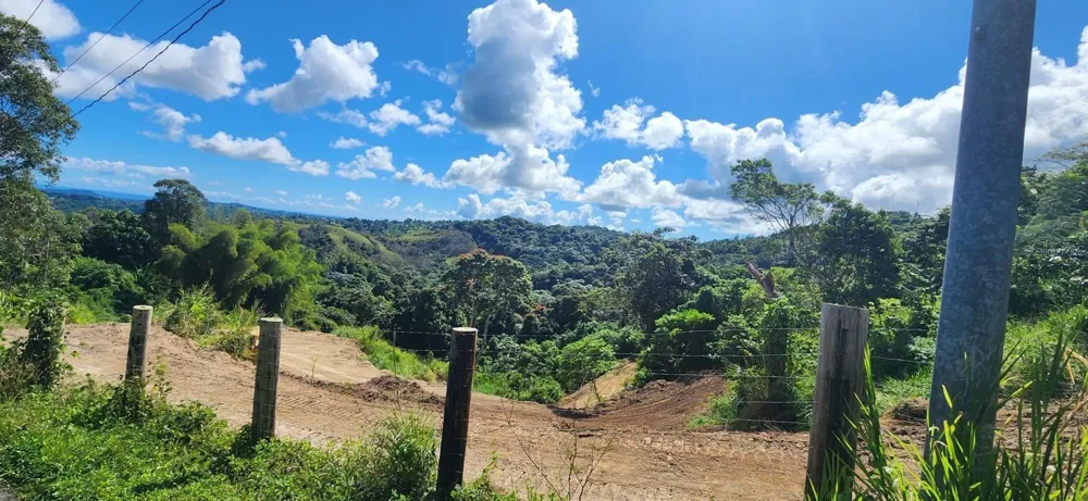 ALTURAS DE VALENCIA - VALENCIANO ARRIBA WARD #LOT 21 Juncos, PR 00777