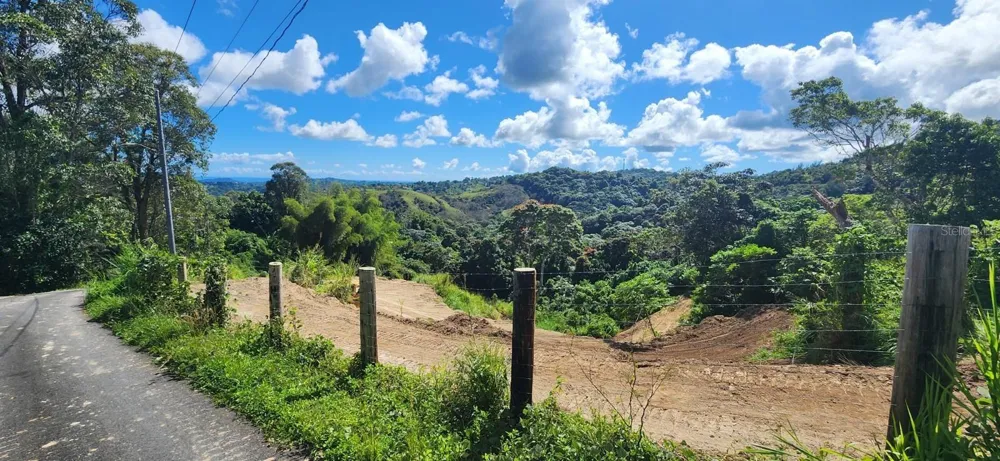 ALTURAS DE VALENCIA - VALENCIANO ARRIBA WARD #LOT 21 Juncos, PR 00777