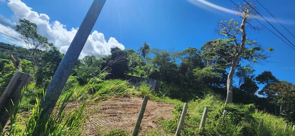 ALTURAS DE VALENCIA - VALENCIANO ARRIBA WARD #LOT 21 Juncos, PR 00777