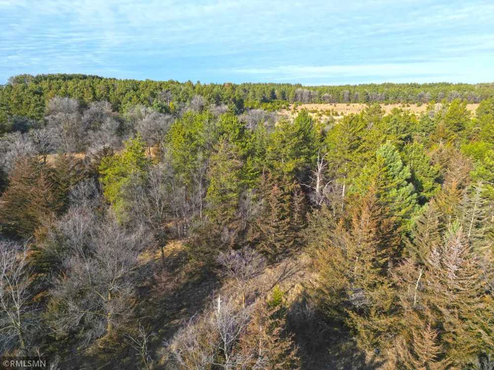 TBD Pine Road NW Rice, MN 56367