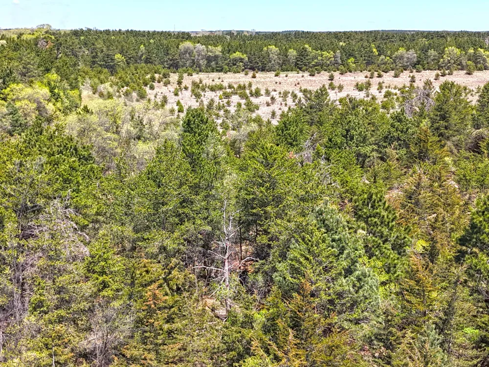 TBD Pine Road NW Rice, MN 56367