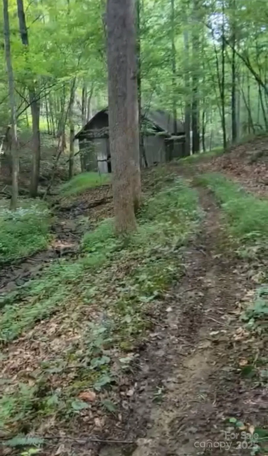 295 Bennett Branch Road Green Mountain, NC 28740